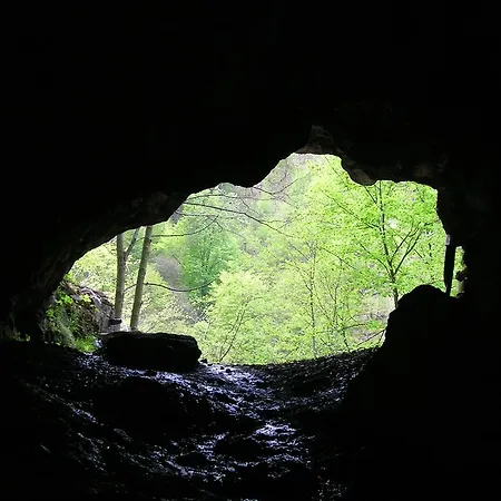 La Casa Delle Grigne * Mandello del Lario